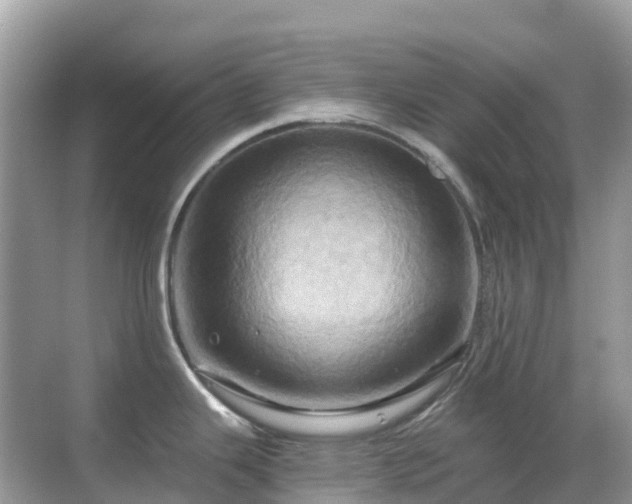 X0000068861343200605051229