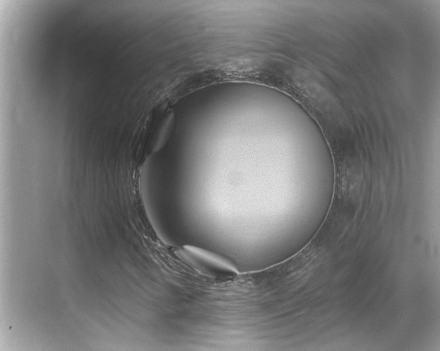 X0000068861346200605051228