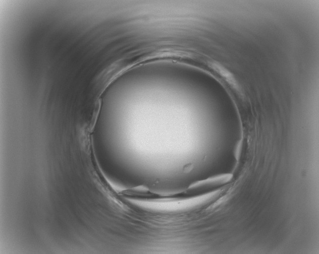 X0000068861369200605051228