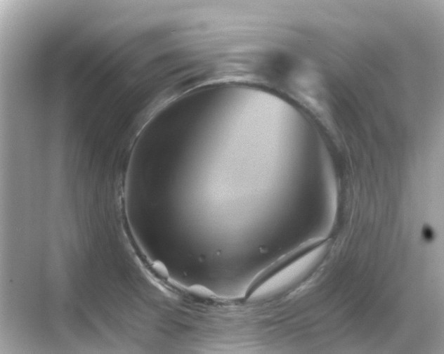 X0000068861377200605051227