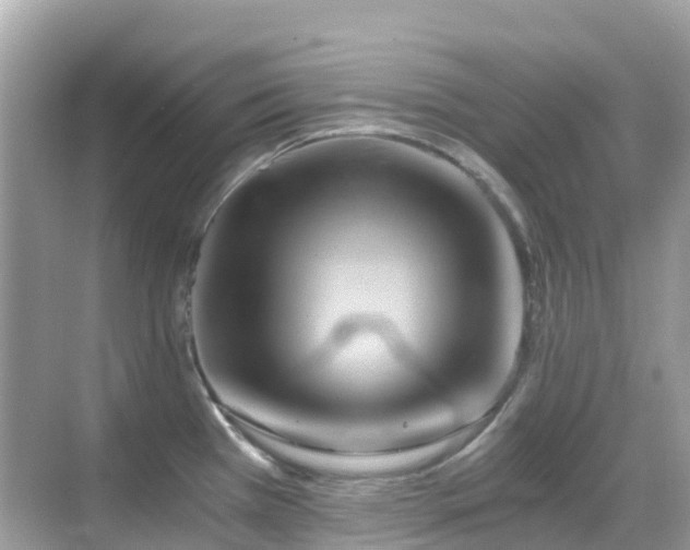 X0000068861385200605051227