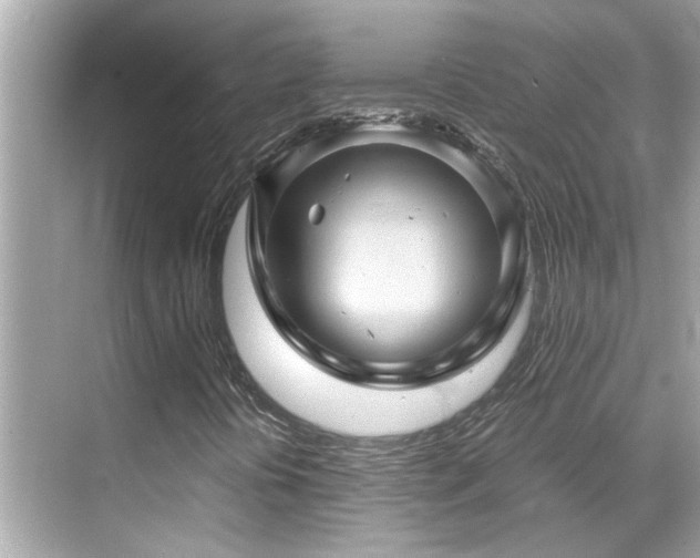 X0000068861394200605051226