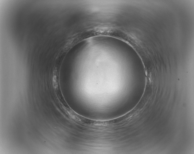 X0000068861396200605051226