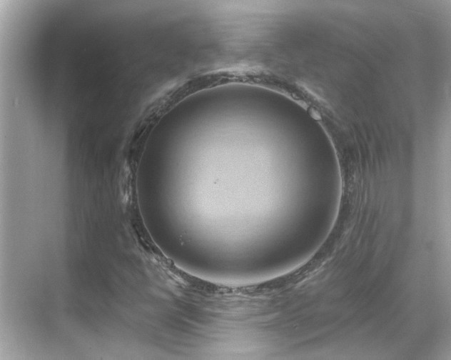 X0000068861398200605051226