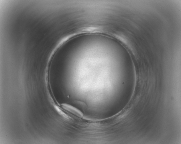 X0000068861421200605051227