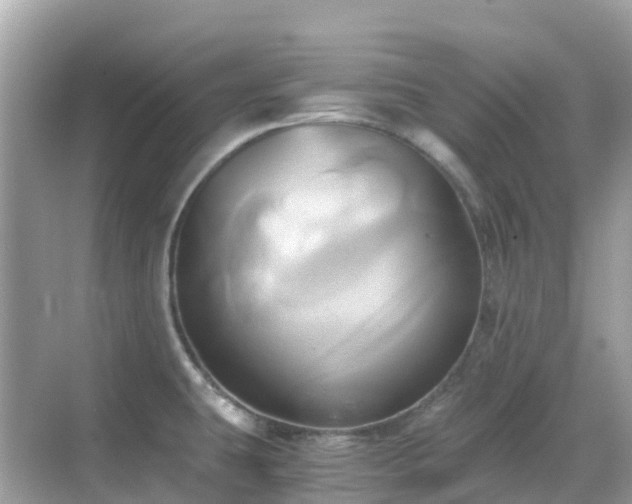 X0000068861431200605051227