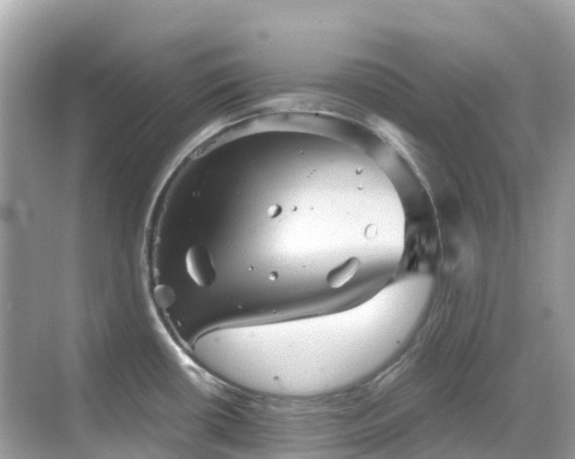 X0000068861434200605051227