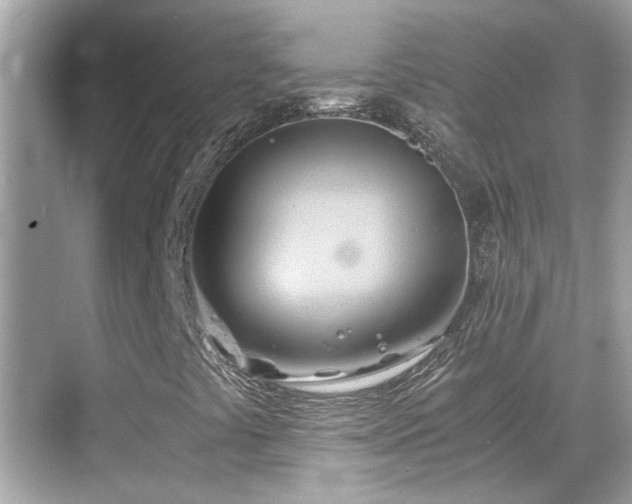 X0000068861441200605051226