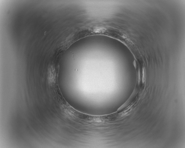 X0000068861443200605051226