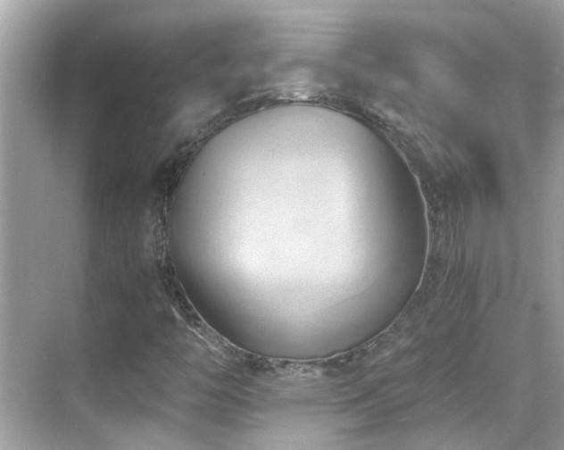 X0000068861446200605051226