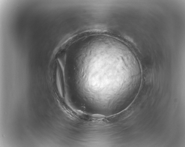 X0000068861448200605051226