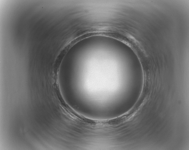 X0000068861449200605051226