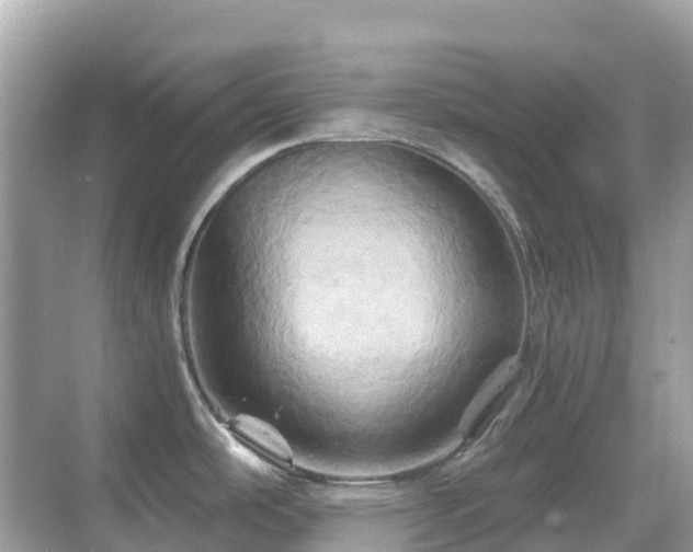 X0000068861486200605051226