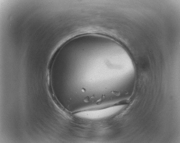 X0000068861509200605051225