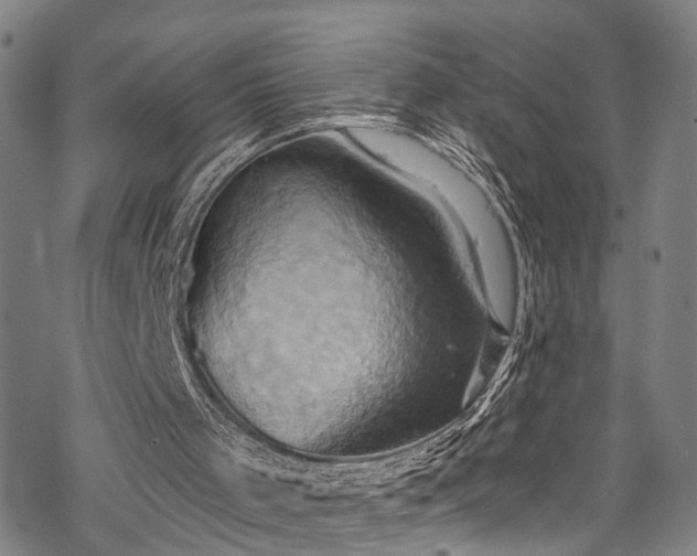 X0000068860001200605081252