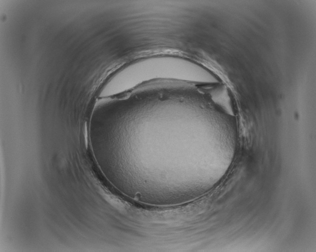 X0000068860013200605081252