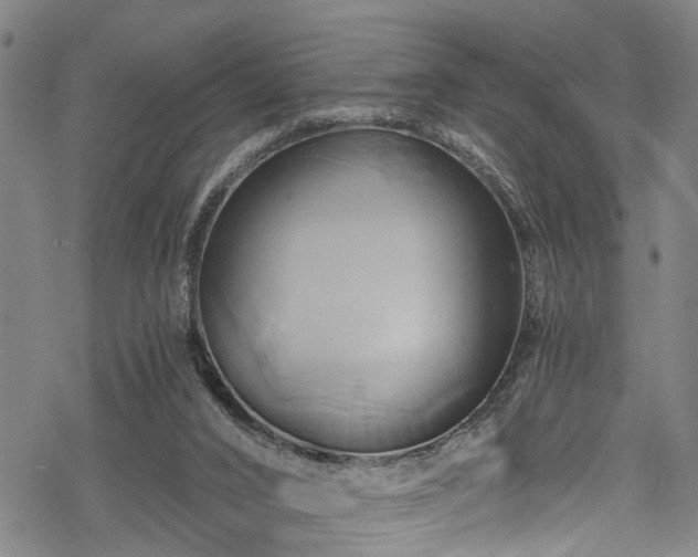 X0000068860016200605081252