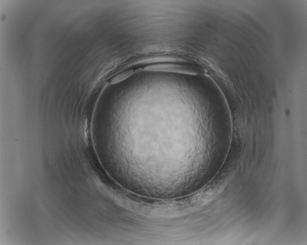X0000068860024200605081252