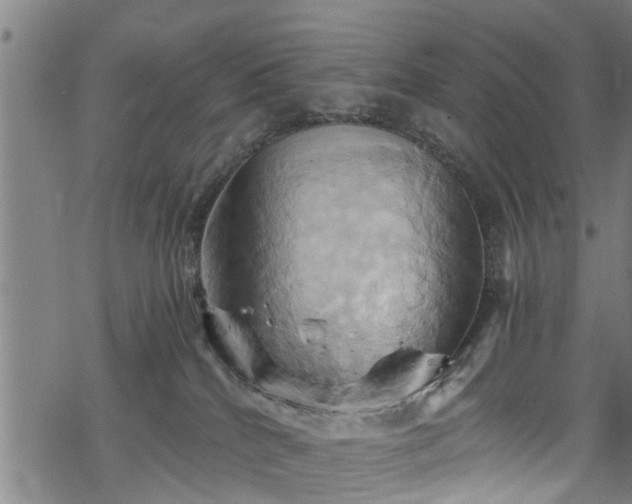 X0000068860040200605081251