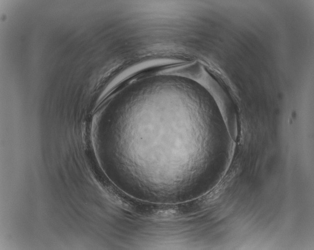 X0000068860066200605081251