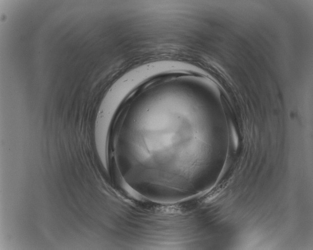 X0000068860077200605081251
