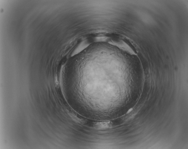 X0000068860089200605081251