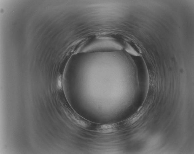 X0000068860095200605081251