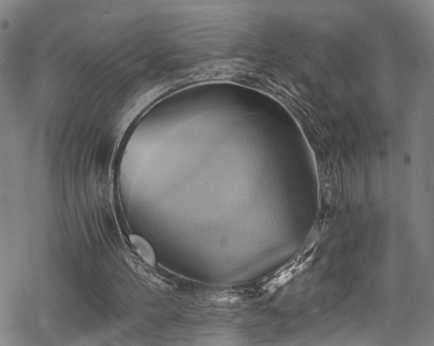 X0000068860100200605081251