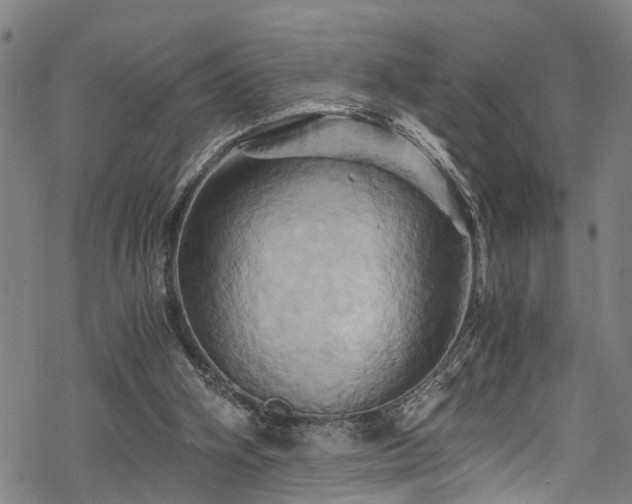 X0000068860106200605081250