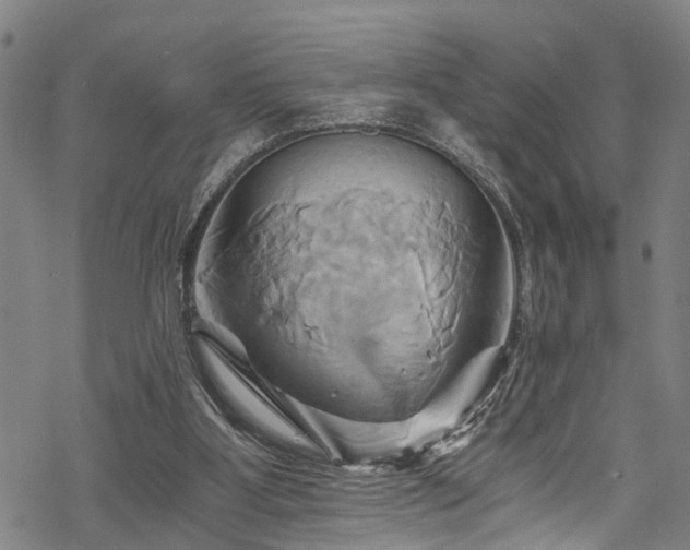 X0000068860107200605081250