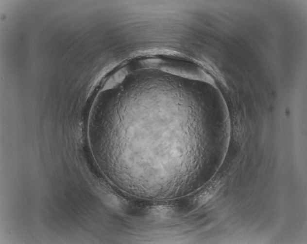 X0000068860111200605081250