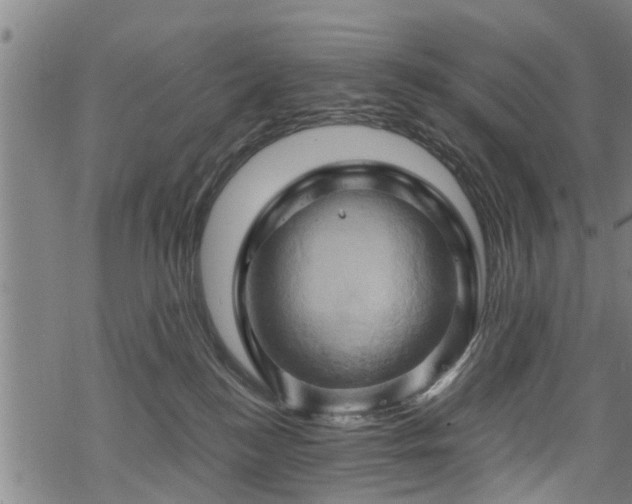 X0000068860184200605081250