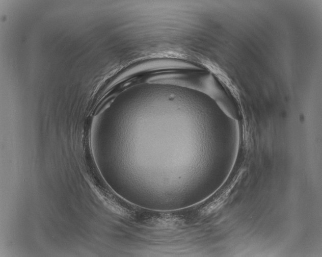 X0000068860201200605081249
