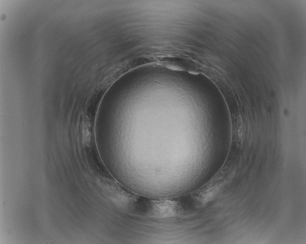 X0000068860226200605081248