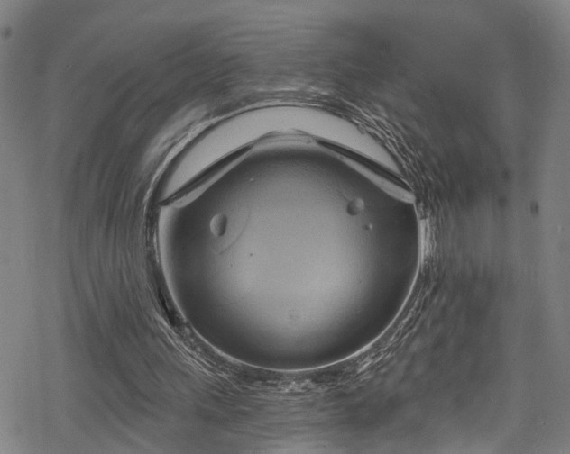 X0000068860243200605081248