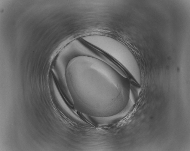 X0000068860244200605081248