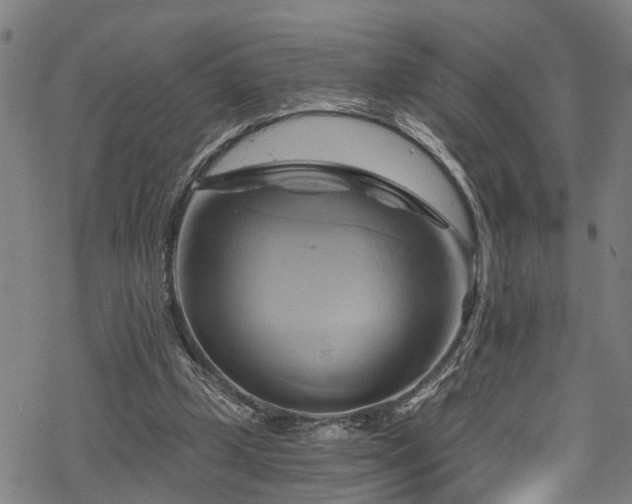 X0000068860249200605081248