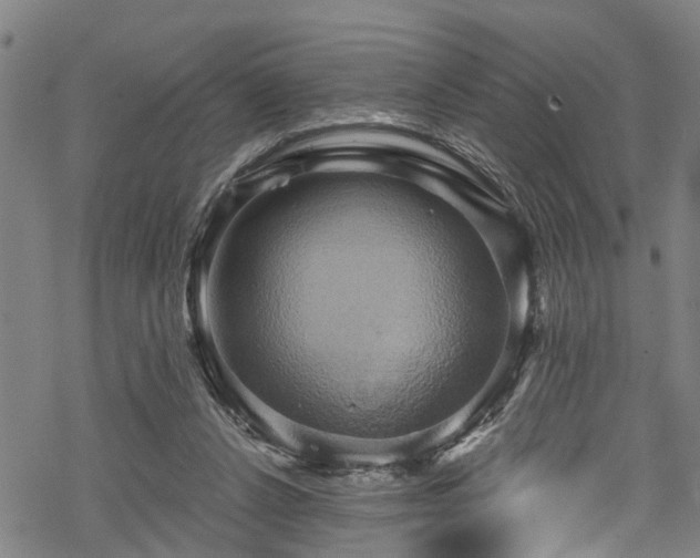 X0000068860256200605081248