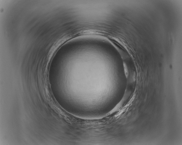 X0000068860289200605081247