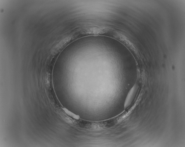 X0000068860305200605081247