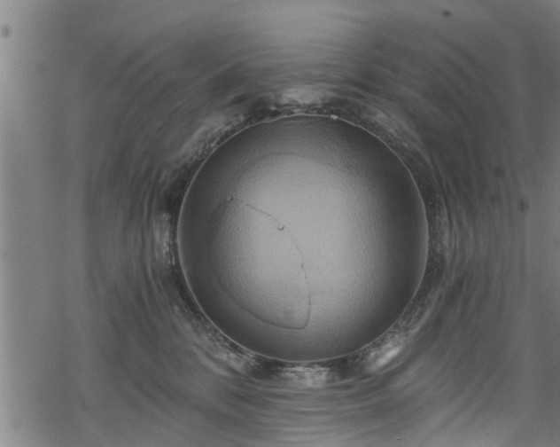 X0000068860328200605081247