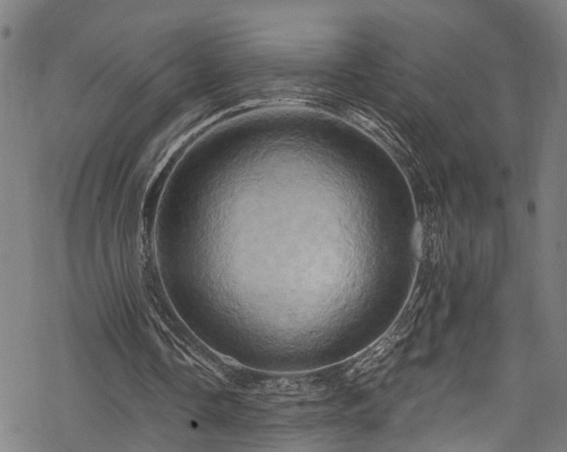 X0000068860338200605081246