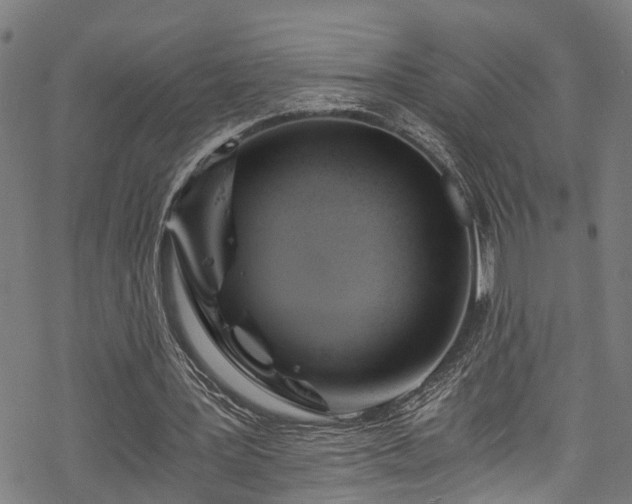 X0000068860387200605081246