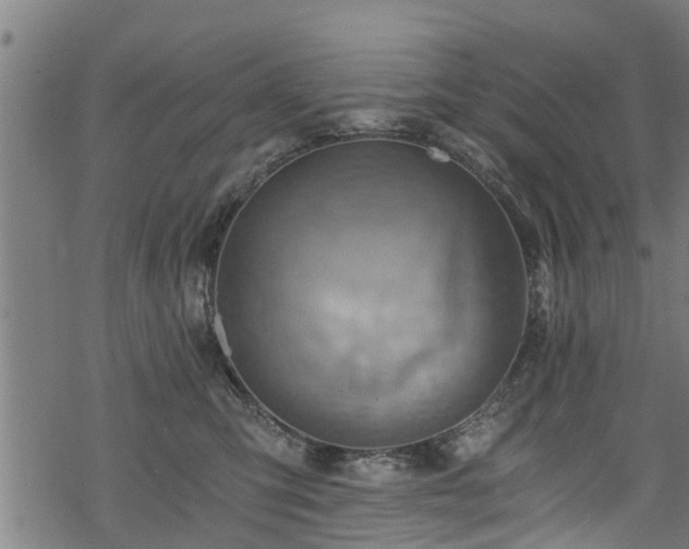 X0000068860423200605081245