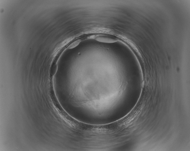 X0000068860437200605081244