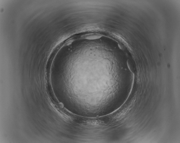 X0000068860439200605081244