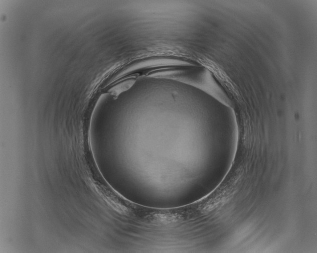 X0000068860442200605081245
