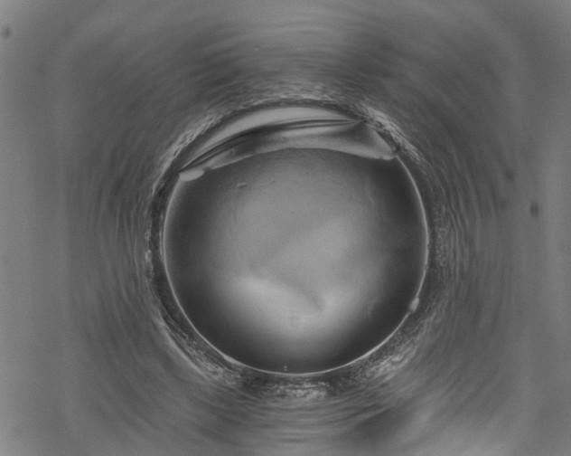 X0000068860443200605081245