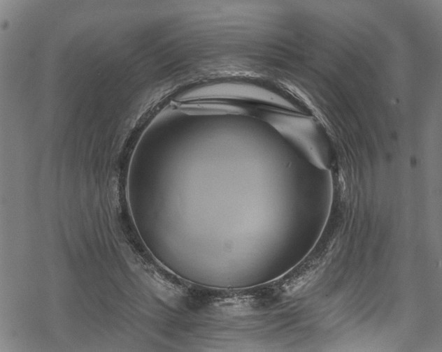 X0000068860447200605081245