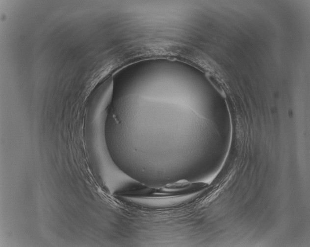 X0000068860481200605081244